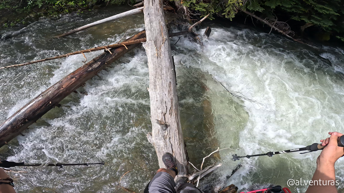 Cruzando el río por un árbol caído